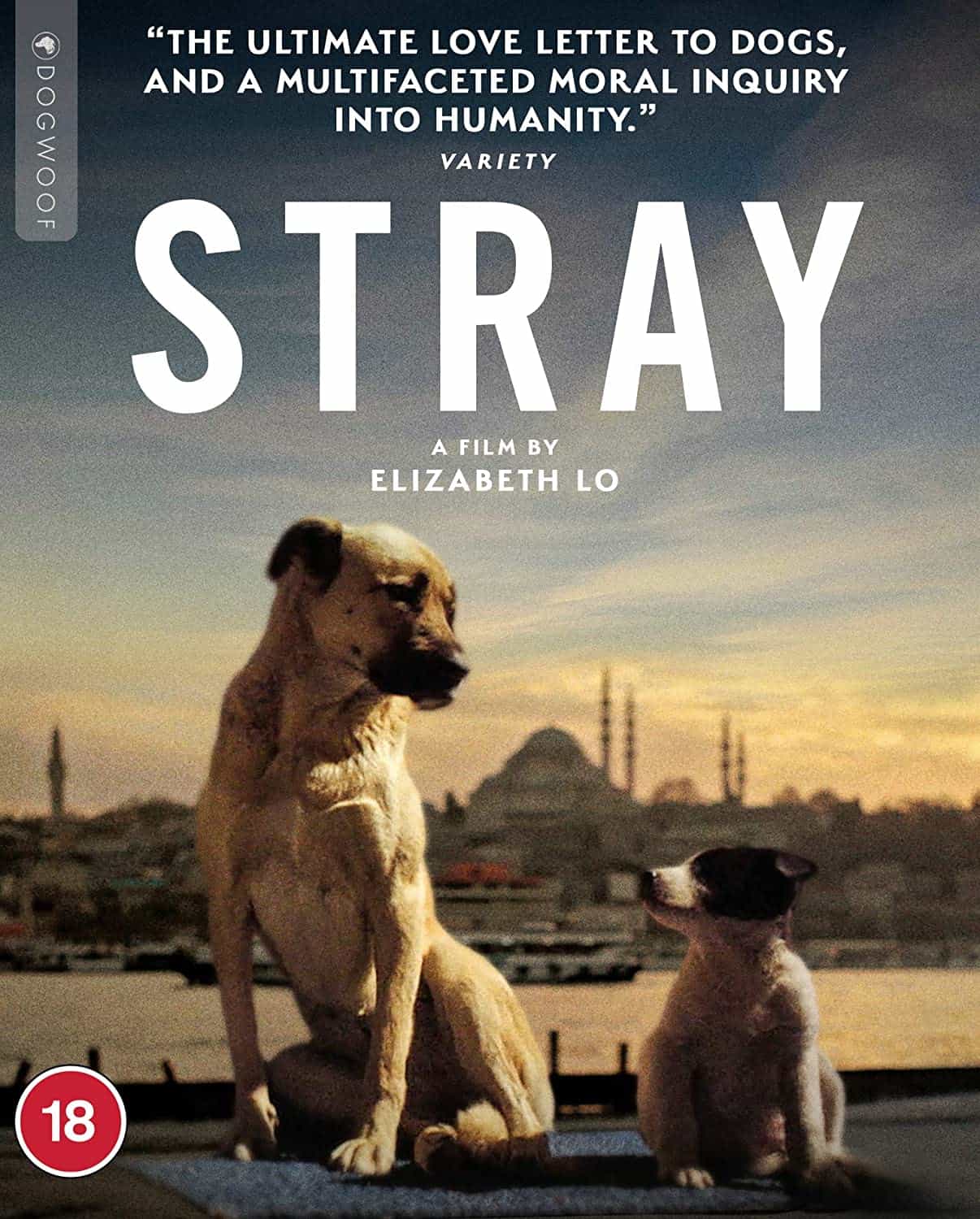 Stray - Dogwoof - Blueprint: Review