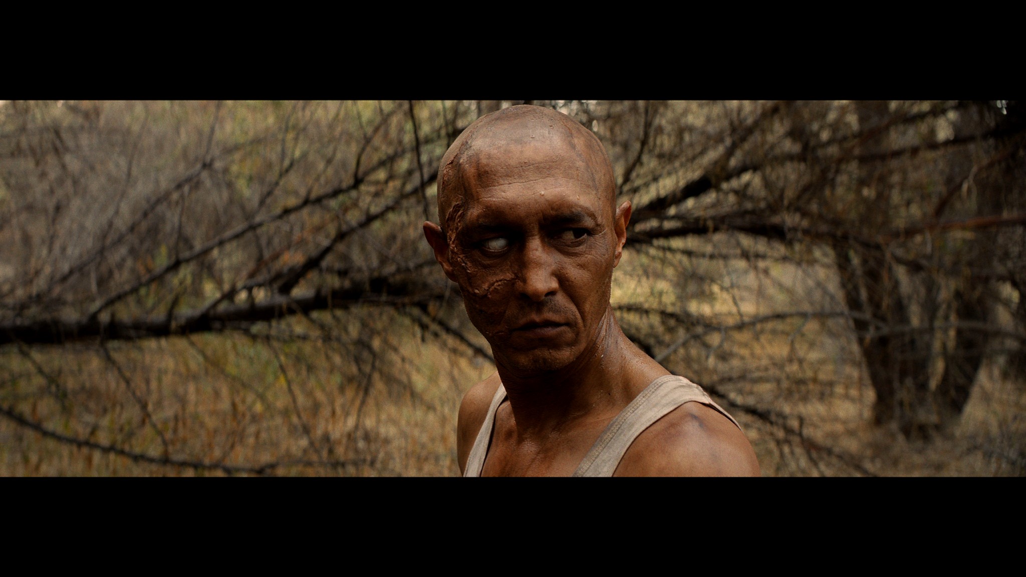 Sweetie, you won’t believe it! - Blueprint: Review